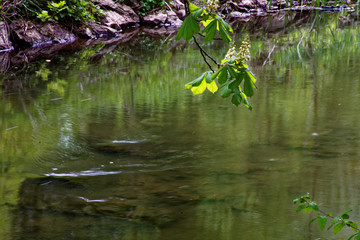 beautiful colors of nature in the spring Park