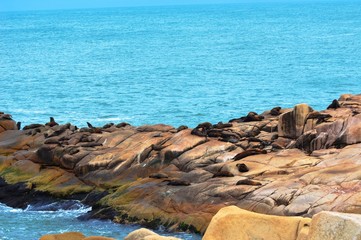 sea and rocks