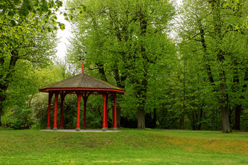 beautiful colors of nature in the spring Park