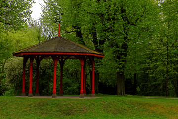 beautiful colors of nature in the spring Park