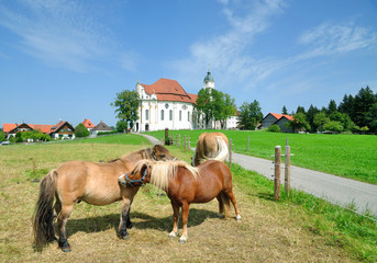an der Wieskirche bei Steingaden im Pfaffenwinkel in Oberbayern,Deutschland