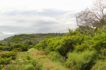 Fototapeta premium paisagem do campo nordestino brasileiro
