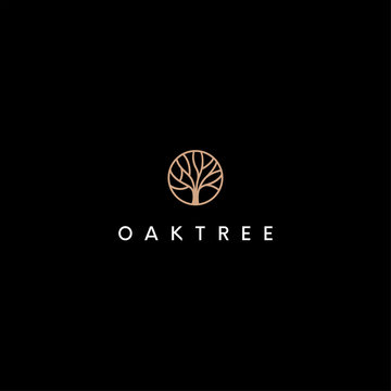 oak tree vector logo design