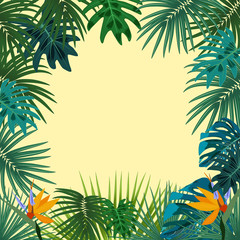 Fototapeta na wymiar Vector tropical jungle frame with palm trees and leaves