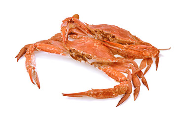 Cooked Crab Isolated on white background