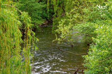 beautiful colors of nature in the spring Park