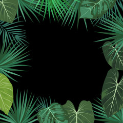 Fototapeta na wymiar Vector tropical jungle frame with palm trees and leaves on black background