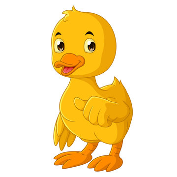 Cartoon yellow duck mascot showing thumb up
