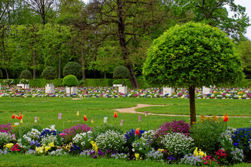 beautiful colors of nature in the spring Park