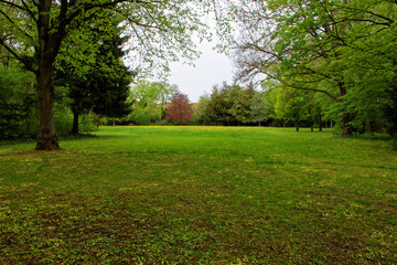Fototapeta premium beautiful colors of nature in the spring Park