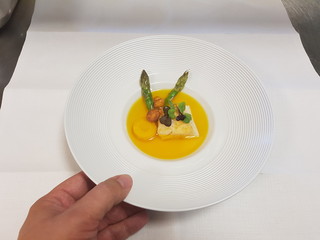 france food festival animals gourmet