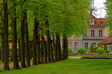beautiful colors of nature in the spring Park