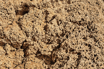 The texture of the stone lit by the sun.