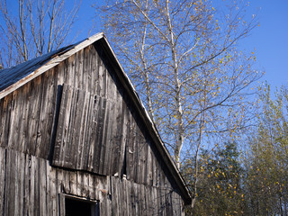 Fototapeta na wymiar A hut made of wood.