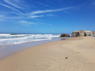 festival wedding france nature animal