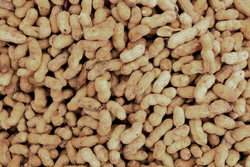 Peanuts in shell for background and texture.