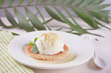 Mint ice cream on the waffle on the plate with mint leaf and palm leaf on the background
