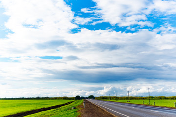 Natural landscape of trees, road and sky