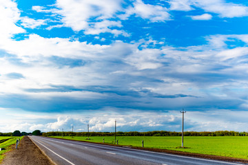 Fototapeta premium Natural landscape of trees, road and sky