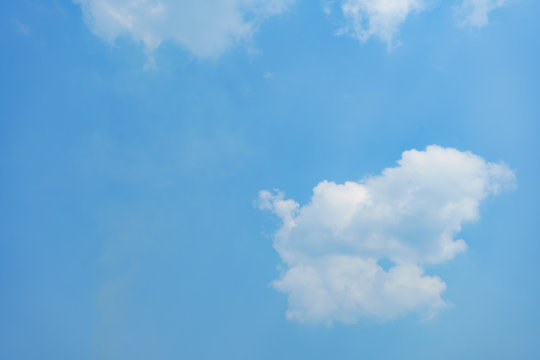 White elephant shape cloud on blue sky in a sunny day.