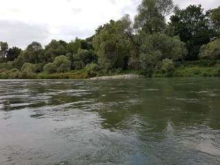 festival wedding france nature animal