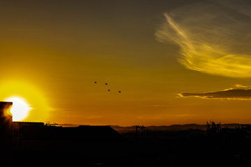 sunset over field