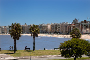 Fototapeta na wymiar beach in uruguay