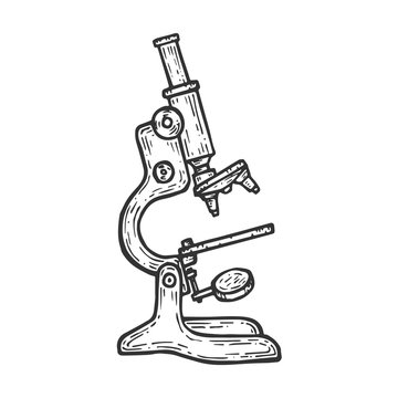 recommend clip art: Old Microscope sketch engraving vector illustration. Scratch board style imitation. Hand drawn image.