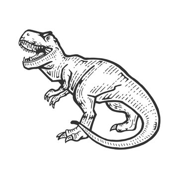 recommend clip art: Tyrannosaur dinosaur sketch engraving vector illustration. Scratch board style imitation. Hand drawn image.