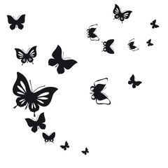 Plakat black butterfly, isolated on a white