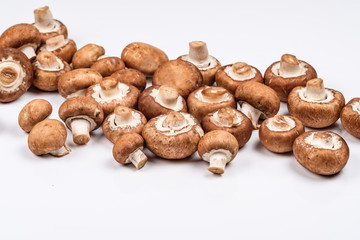 Brauner Champignon (Agaricus bisporus var. hortensis)