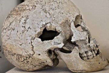 Ancient human skull. Bones of an ancient Roman skull.