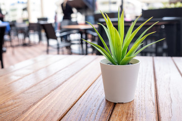 small white flowerpot with with a plant on a wooden table