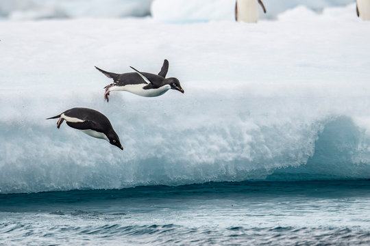 Juan Sebastian Lobos