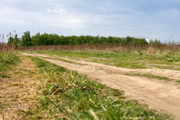 Fototapeta na wymiar Grassy terrain with dirt road