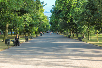 Fototapete bei efototapeten.de bestellen   