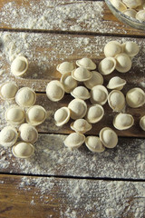 homemade dumplings, closeup