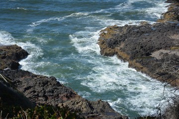 On the Oregon Coast