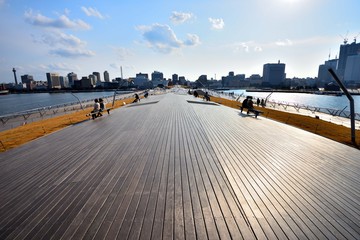 ヨコハマ大桟橋鯨の背中