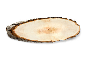 Tree cut isolated on white background. Large circular piece of wood cross section with tree ring texture pattern and cracks