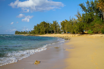 Sandstrand mit Bäumen, blauen Himmel und Wolken am späten Nachmittag