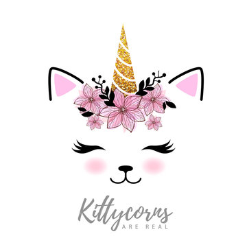 Vector illustration of fantasy animal cat kittycorn.