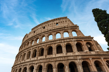 Fototapeta na wymiar Colosseo of Rome - Ancient coliseum in Italy