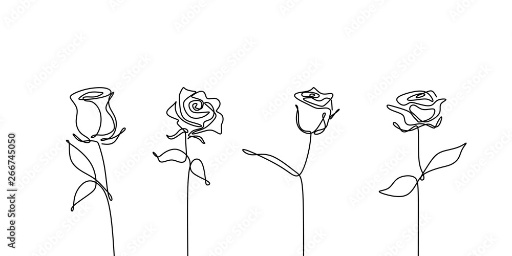 Wall mural Continuous line drawing of rose flower set collections minimalism design