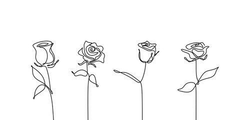 Continuous line drawing of rose flower set collections minimalism design - obrazy, fototapety, plakaty