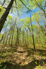 Cane Creek Nature Preserve