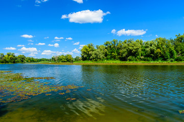 Summer landscape with the green trees and river