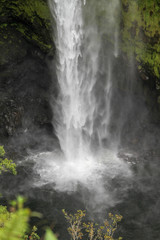 Plakat Wasserfall mit Steilwand die stark bewachsen ist