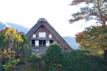 Fototapeta na wymiar Traditional gassho-zukuri house in autumn season at Shirakawa-go,Japan
