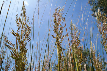 Paesaggio di primavera